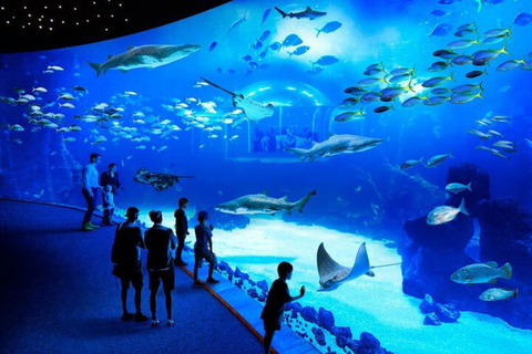 Osaka: Explore Cultural Gems with Pickup & Private Guide