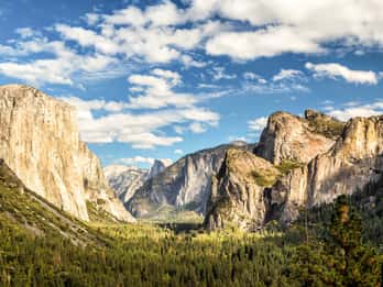 Ab San Francisco: Private Tagestour durch Yosemite Valley Ab San Francisco: Private Tagestour durch Yosemite Valley