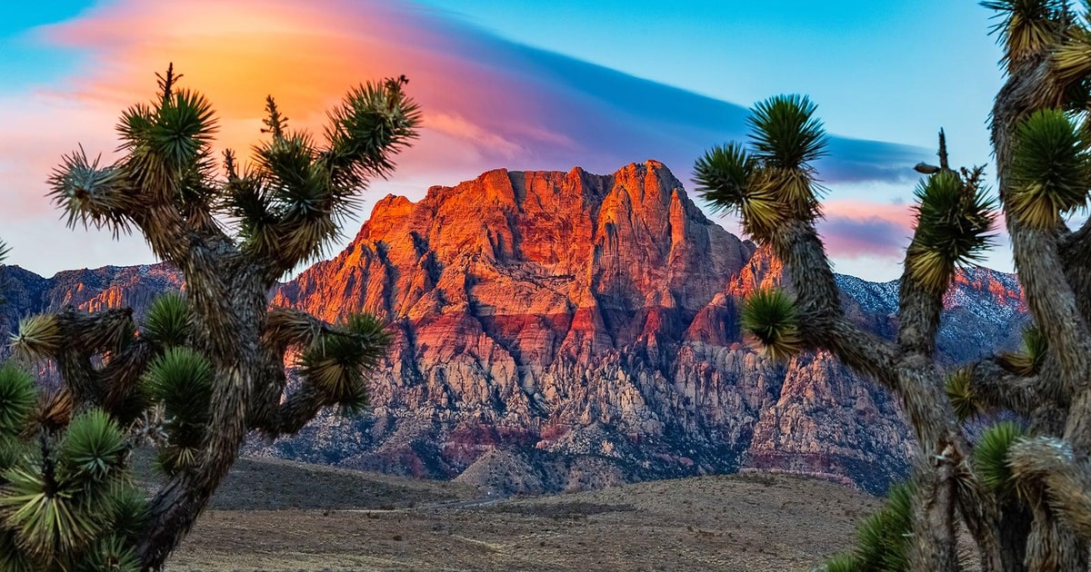 Luggage Storage On Las Vegas Strip GetYourGuide