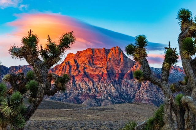 Visit Las Vegas Guided Red Rock Canyon Driving Adventure in Las Vegas, United States