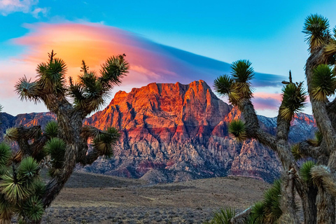 Las Vegas: Privat Red Rock Canyon guidad körning äventyr