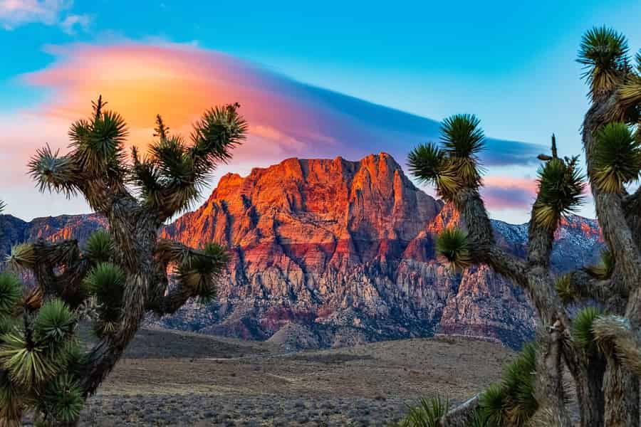 Las Vegas: Privat geführtes Red Rock Canyon Driving Adventure. Foto: GetYourGuide