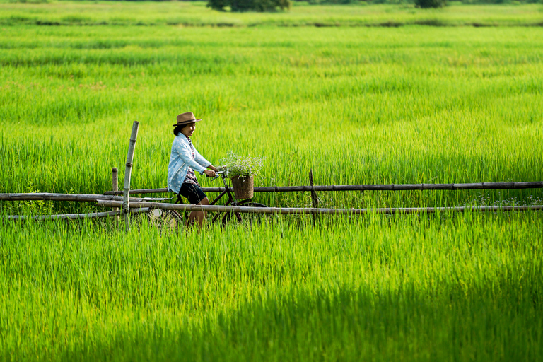 HCMC: Cu Chi Tunnels &amp; Mekong Delta VIP Limousine Bus TourVIP Group Tour