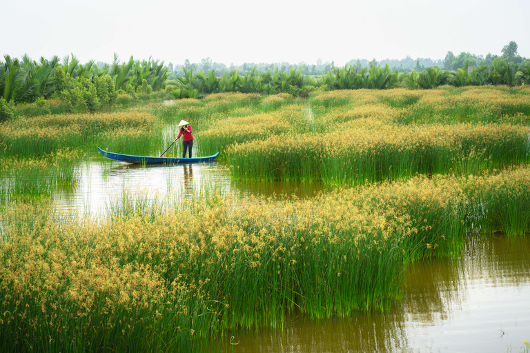 HCMC: Cu Chi Tunnels &amp; Mekong Delta VIP Limousine Bus TourVIP Group Tour