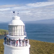 Bruny Island: Cape Bruny Lighthouse Tour