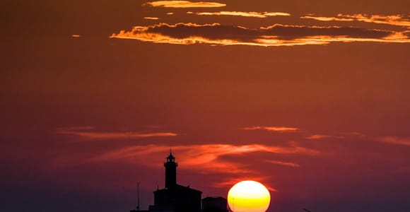 Rovinj: Delfinbeobachtung auf einer Bootstour bei Sonnenuntergang