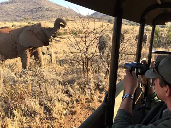 Pilanesberg Full-Day Shared Safari With Sun City Visit | GetYourGuide