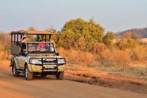 Safari condiviso di un'intera giornata a Pilanesberg con visita a Sun City