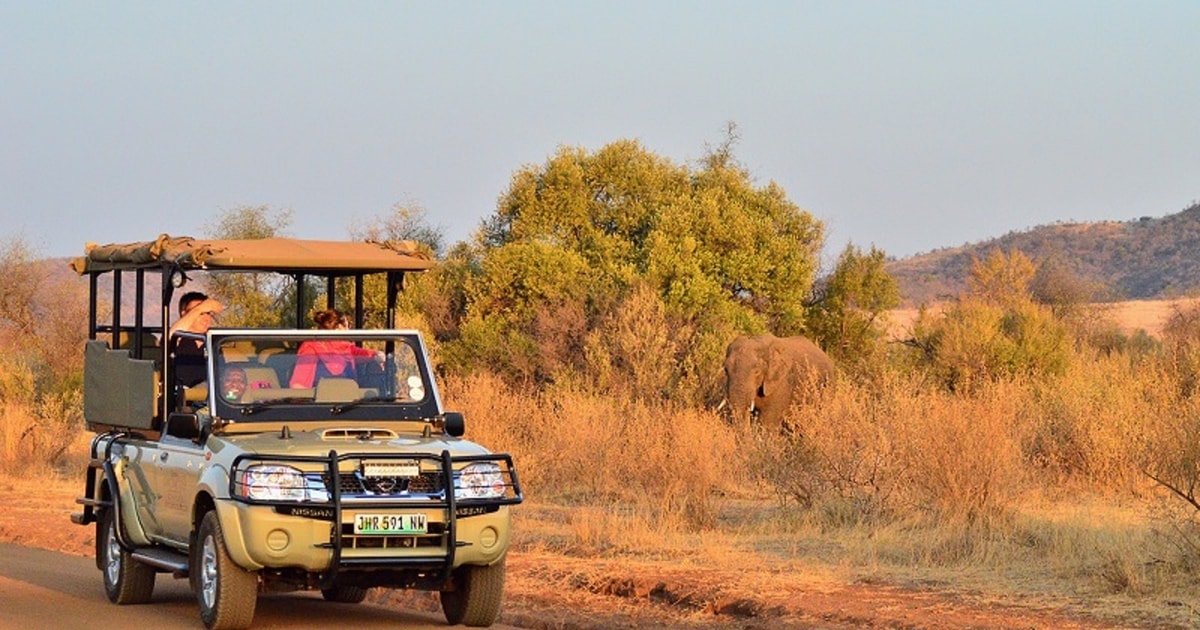 Pilanesberg Full-Day Shared Safari With Sun City Visit | GetYourGuide