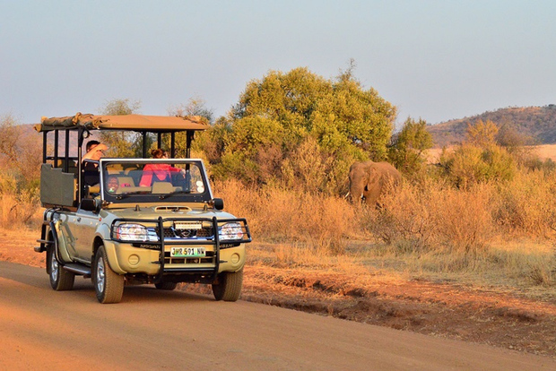 Safari condiviso di un'intera giornata a Pilanesberg con visita a Sun City