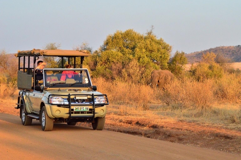 Pilanesberg Full-Day Shared Safari met Sun City Visit