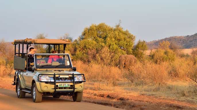 safari compartido de día completo en pilanesberg con visita a sun city