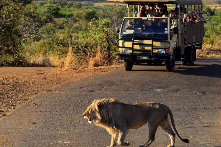 Safari partagé d'une journée à Pilanesberg avec visite de Sun City