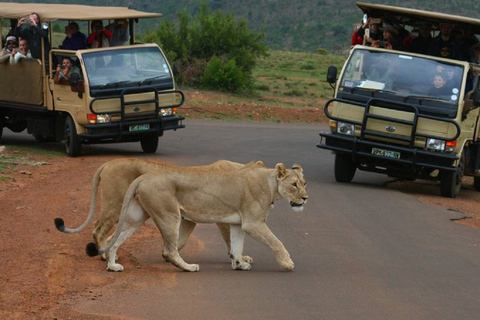 From JNB: Pilanesberg Safari incl. Lunch Full day