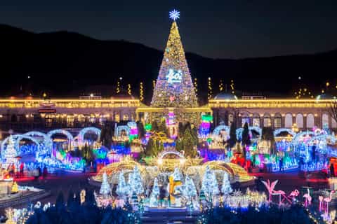 Everland 1-Day Fast Entry E-Ticket