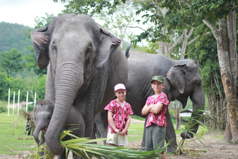 Chiang Mai: Elephant Sanctuary, Waterfall & Bamboo Rafting
