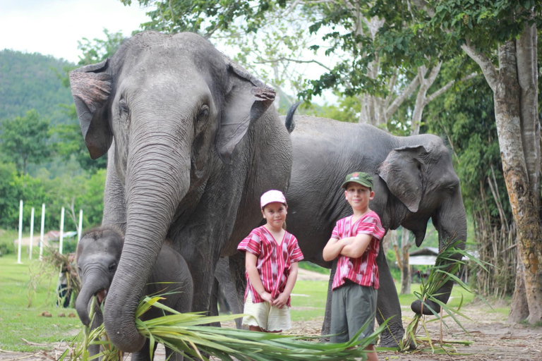 Chiang Mai: Elephant Sanctuary, Waterfall & Bamboo Rafting