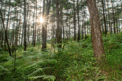 BAGUIO CITY DAY TOUR (FROM MANILA) BAGUIO CITY DAY TOUR 6-13 PAX