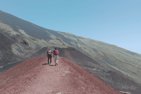 From Catania: Etna Nature and Flavors Half-Day Tour