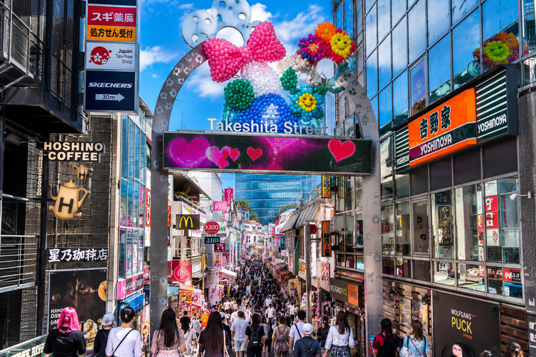 Tokyo Private Customizable City Highlights Guided Tour
