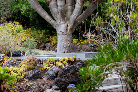 Visite du nord de la Grande Canarie et du jardin botanique