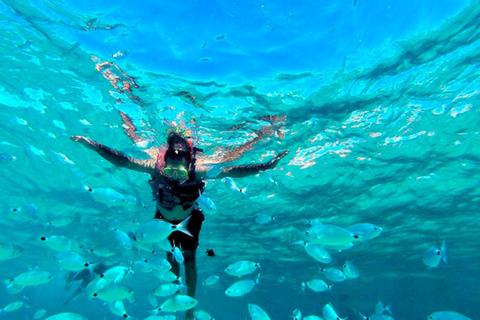 Denia/Jávea: a day at sea with paella on Isla Portitxol Denia/Jávea: a day at sea with paella on Portitxol Island