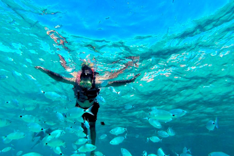 Denia/Jávea: a day at sea with paella on Isla Portitxol Denia/Jávea: a day at sea with paella on Portitxol Island