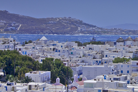 Depuis Naxos : Excursion d&#039;une journée vers l&#039;île de Mykonos.De Naxos : excursion d&#039;une journée à l&#039;île de Mykonos