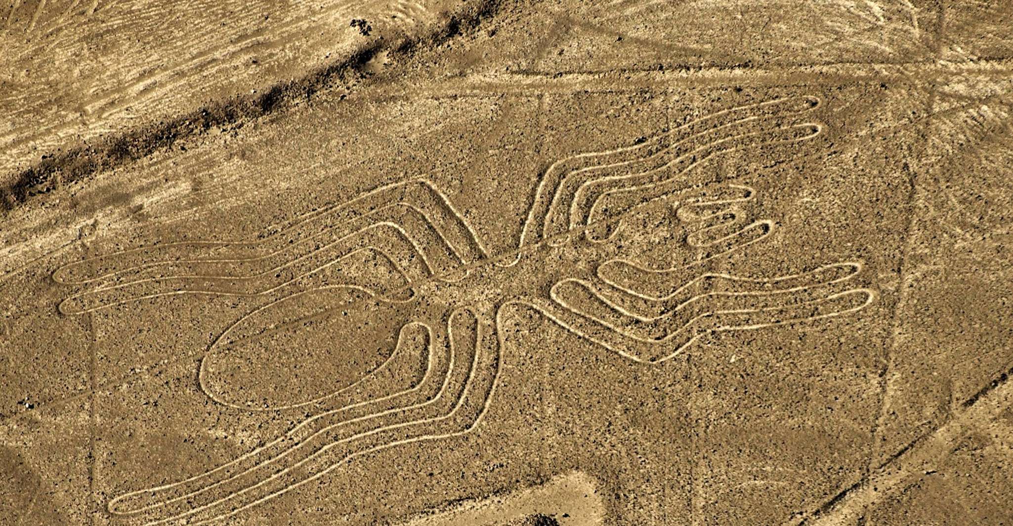 Lima, Nazca Lines, Weingut und Huacachina Oasis Private Tour - Hizvo