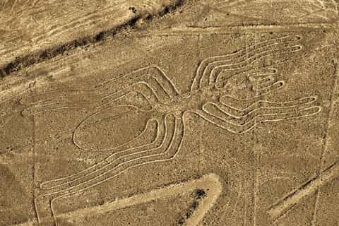 Lima: Private Nazca Lines & Huacachina Oasis with Lunch