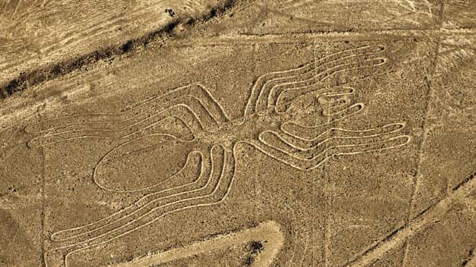 lima private nazca lines huacachina oasis with lunch