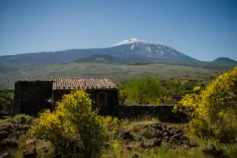 Tour di degustazione della Sicilia antica e dell'Etna da Taormina