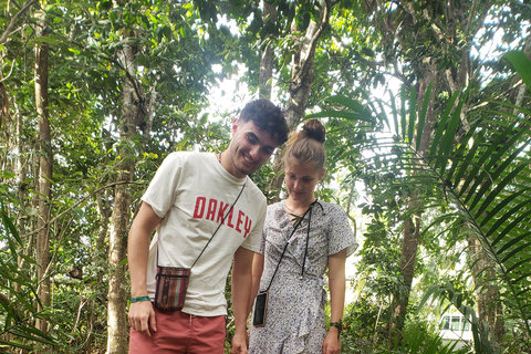 Zanzibar: tour della foresta di Jozani e del santuario delle tartarughe marine