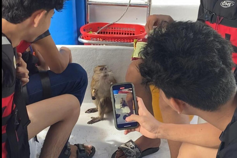 Langkawi Mangrove Monkey-paket