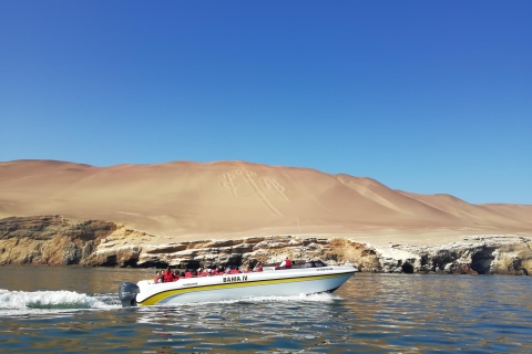 From Lima: Ballestas Islands & Nazca Lines with Meals