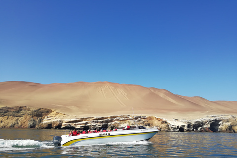 From Lima: Ballestas Islands & Nazca Lines with Meals