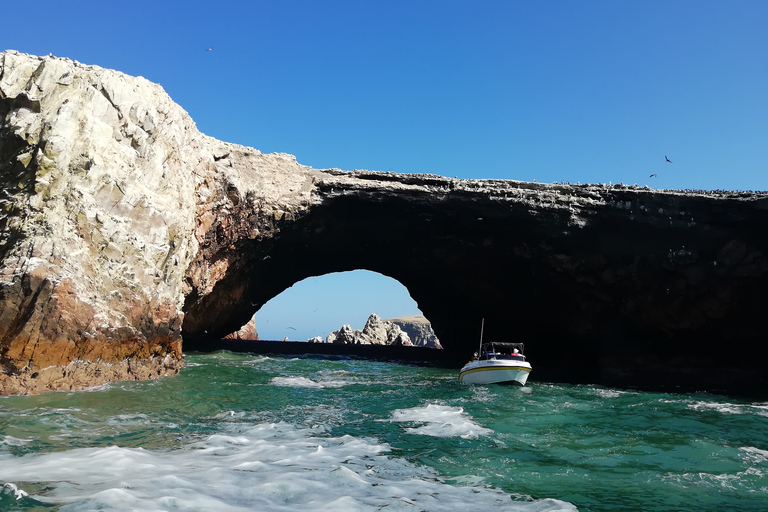 Lima: tour privato delle Isole Ballestas, dell&#039;azienda vinicola e delle Linee di NazcaLima: tour privato delle isole Ballestas, della cantina e delle linee di Nazca