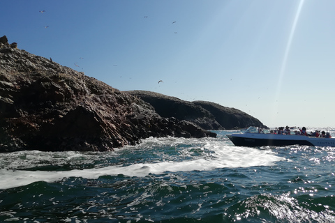 From Lima: Ballestas Islands & Nazca Lines with Meals