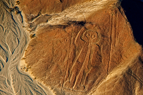 Lima: tour privato delle Isole Ballestas, dell&#039;azienda vinicola e delle Linee di NazcaLima: tour privato delle isole Ballestas, della cantina e delle linee di Nazca