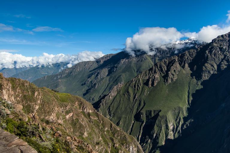 Depuis Arequipa : canyon de Colca et thermes de La Calera