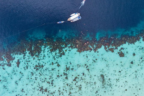 Phuket: Surin Islands Full Day Snorkeling Tour by Speedboat