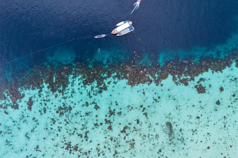 Phuket: Surin Islands Full Day Snorkeling Tour by Speedboat