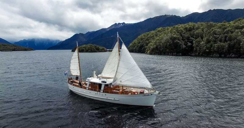 Озеро Те-Анау: 3-часовой круиз на лодке с прогулкой с гидом