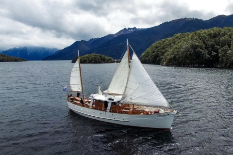 Lago Te Anau: Crucero de 3 horas en barco con paseo guiado