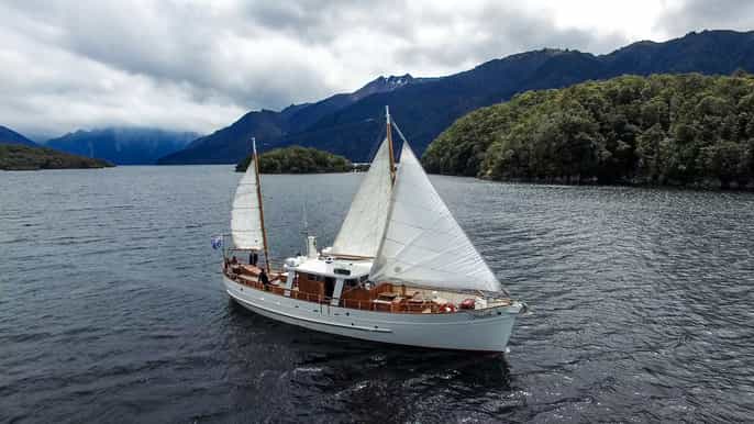lake te anau 3hour boat cruise with guided walk
