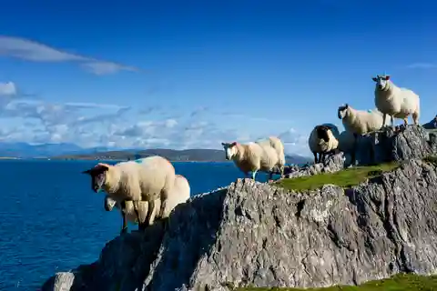 Visite privée de l'Atlantique sauvage au départ de Cork