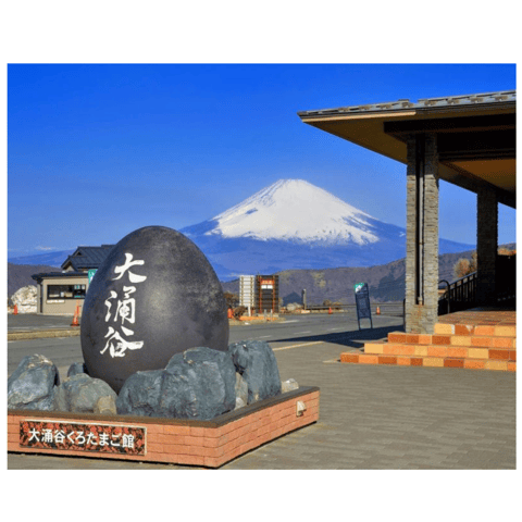 Tokyo: Unmissbale Private Day Tour To Mount Fuji & Lakes