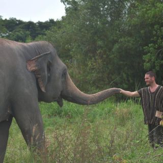Pattaya: tour da Bangkok al santuario etico degli elefanti