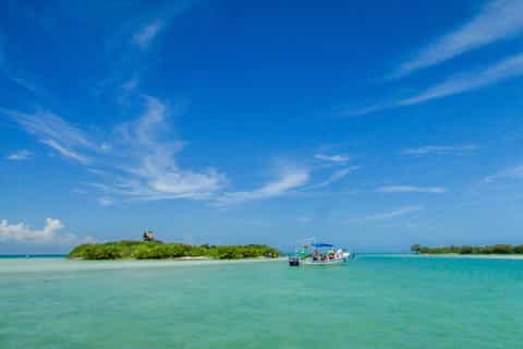 Holbox Island Tour with Transfer Options