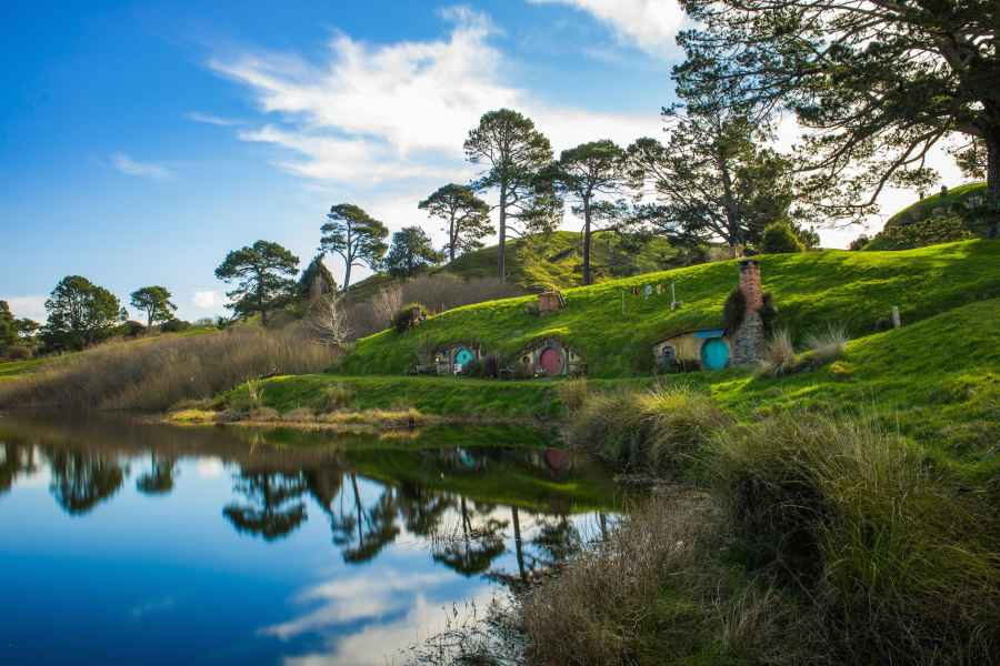 Von Auckland aus: Hobbiton & Waitomo Höhlen Tagesausflug mit Mittagessen. Foto: GetYourGuide